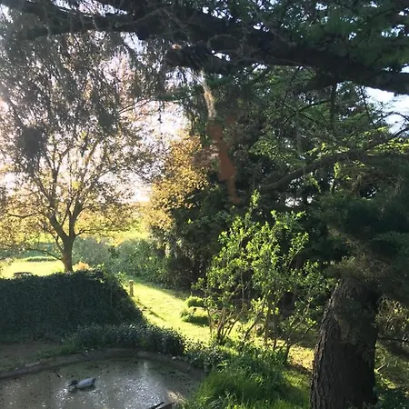 Appartamento Baldies Tenne In Ostseenaehe