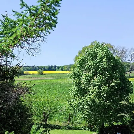 Baldies Tenne In Ostseenaehe *
