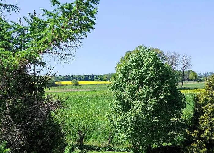 Baldies Tenne In Ostseenaehe *